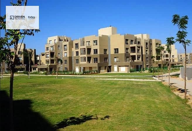 10 8219648-489bfo. jpg