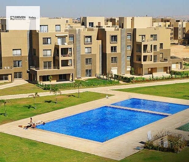 4 WhatsApp Image 2025-11-10 at 16.54. 20_c7267f06. jpg