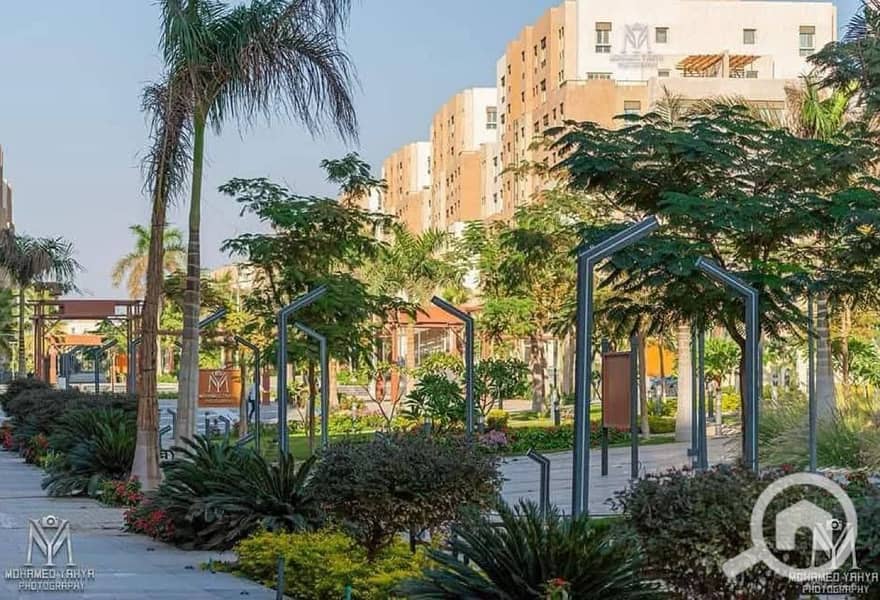 11 المقصد (17). jpg