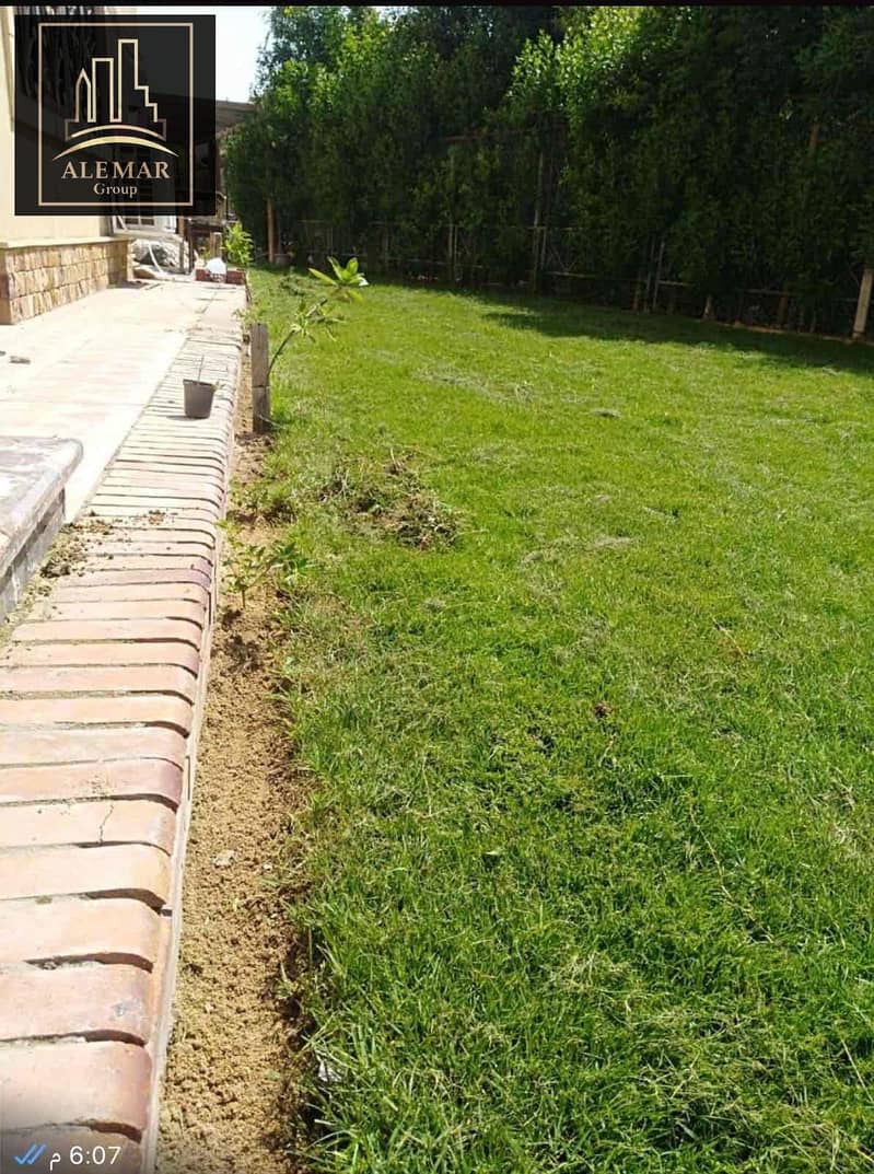 7 f357c643-b6bb-4d24-a4e3-d1d7a349ab42. jpg