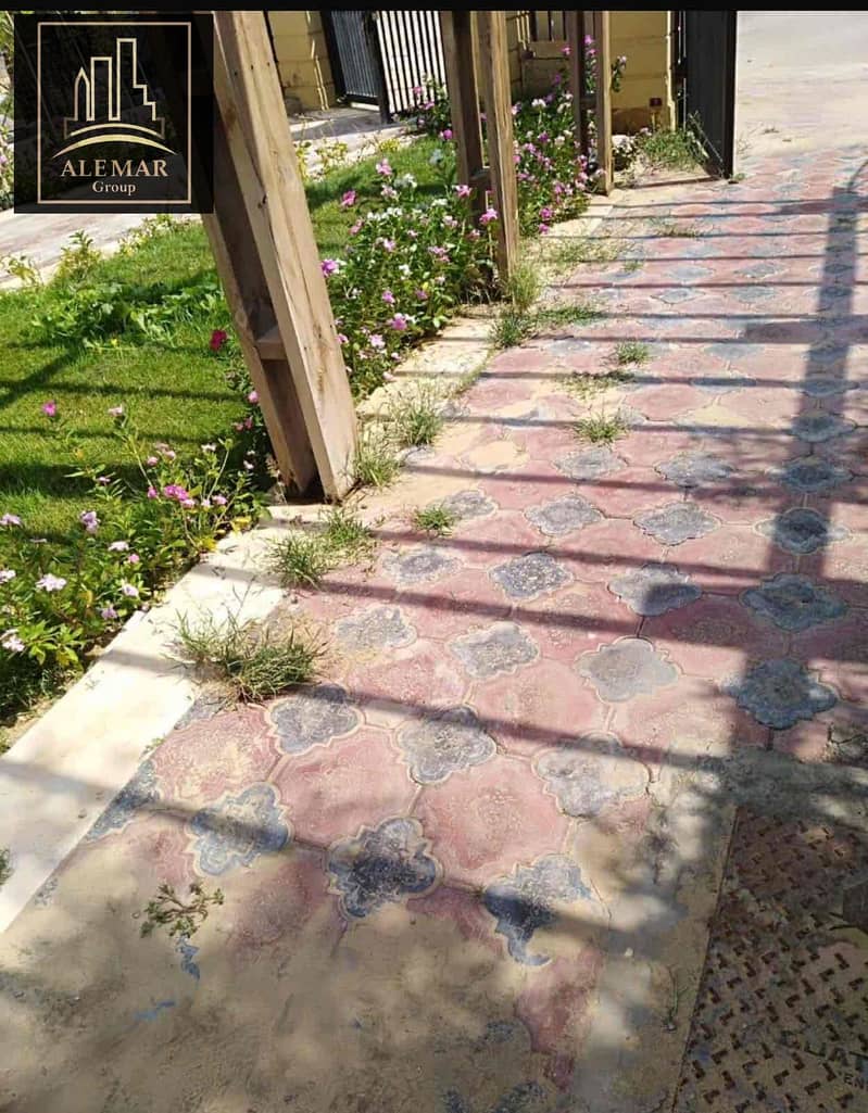 8 e4be49dd-e56b-4050-991c-5446da7710fc. jpg