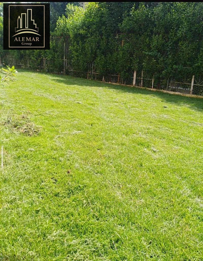 9 3a020dde-10c1-4af5-b8f3-d6a15a799b76. jpg