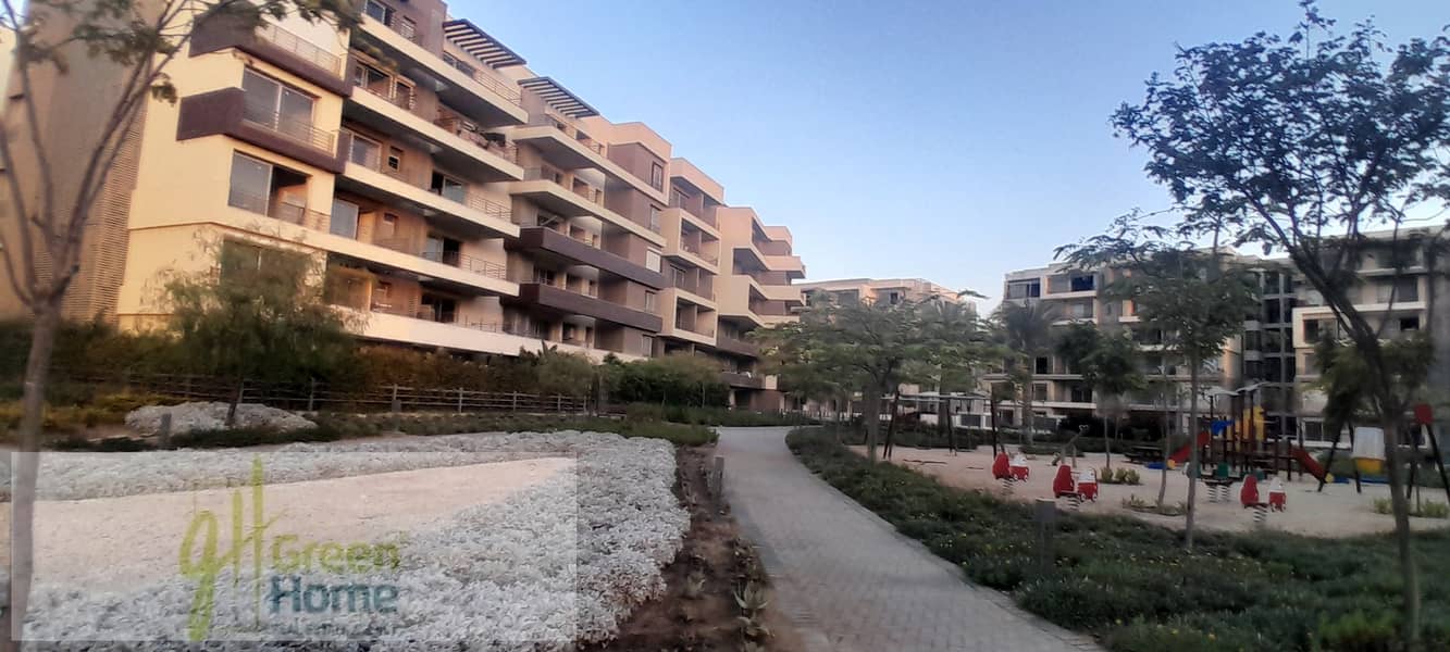 11 20251021_180429. jpg