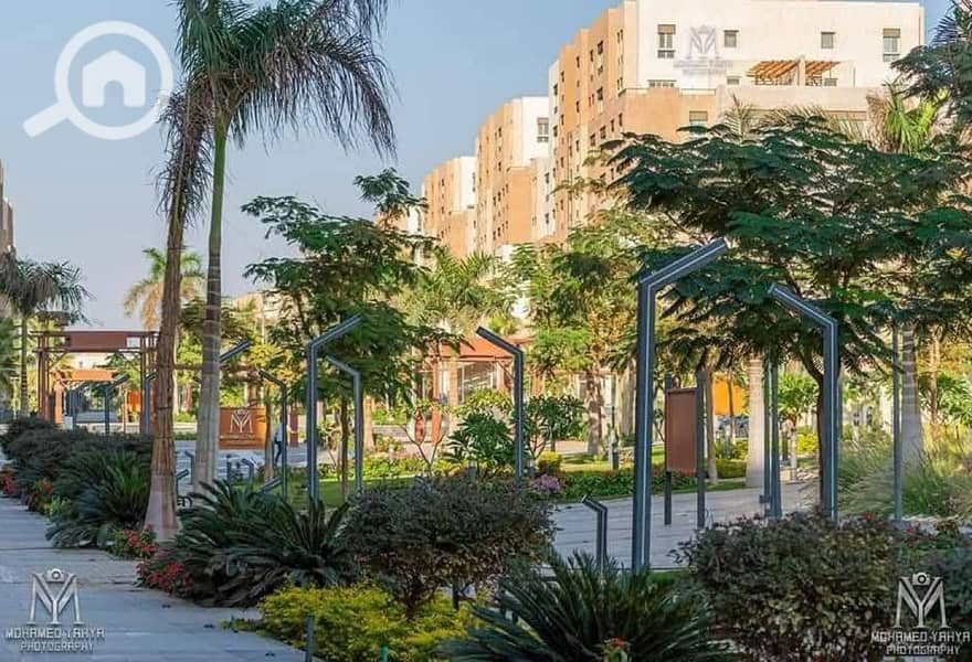 11 المقصد (17). jpg