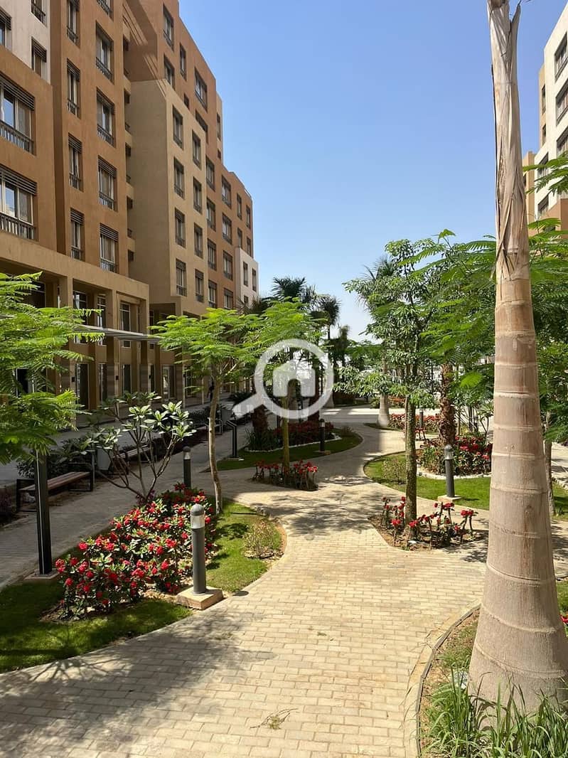 8 WhatsApp Image 2025-07-24 at 15.10. 34_9b08d18b. jpg