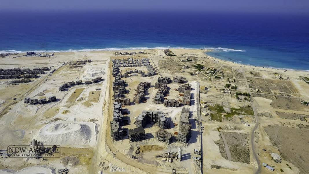 3 WhatsApp Image 2026-01-20 at 12.43. 39 PM. jpeg