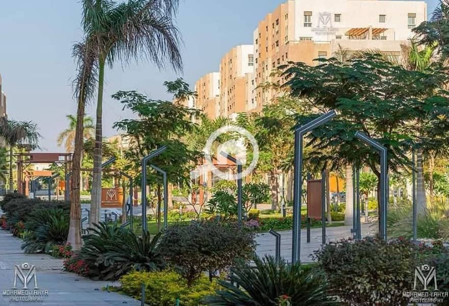 11 المقصد (17). jpg