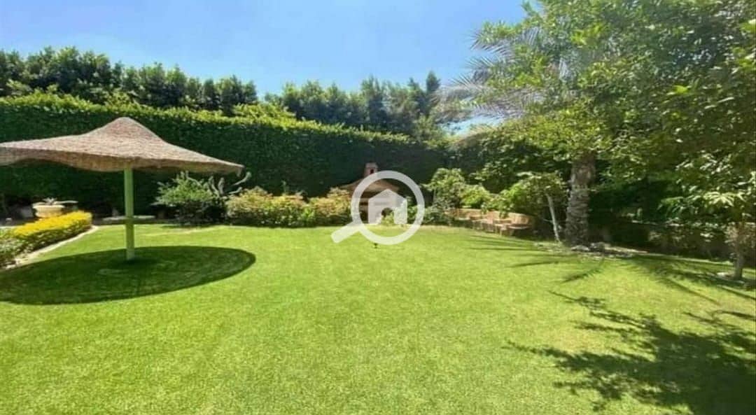 5 WhatsApp Image 2024-07-17 at 1.59. 00 PM (1). jpeg