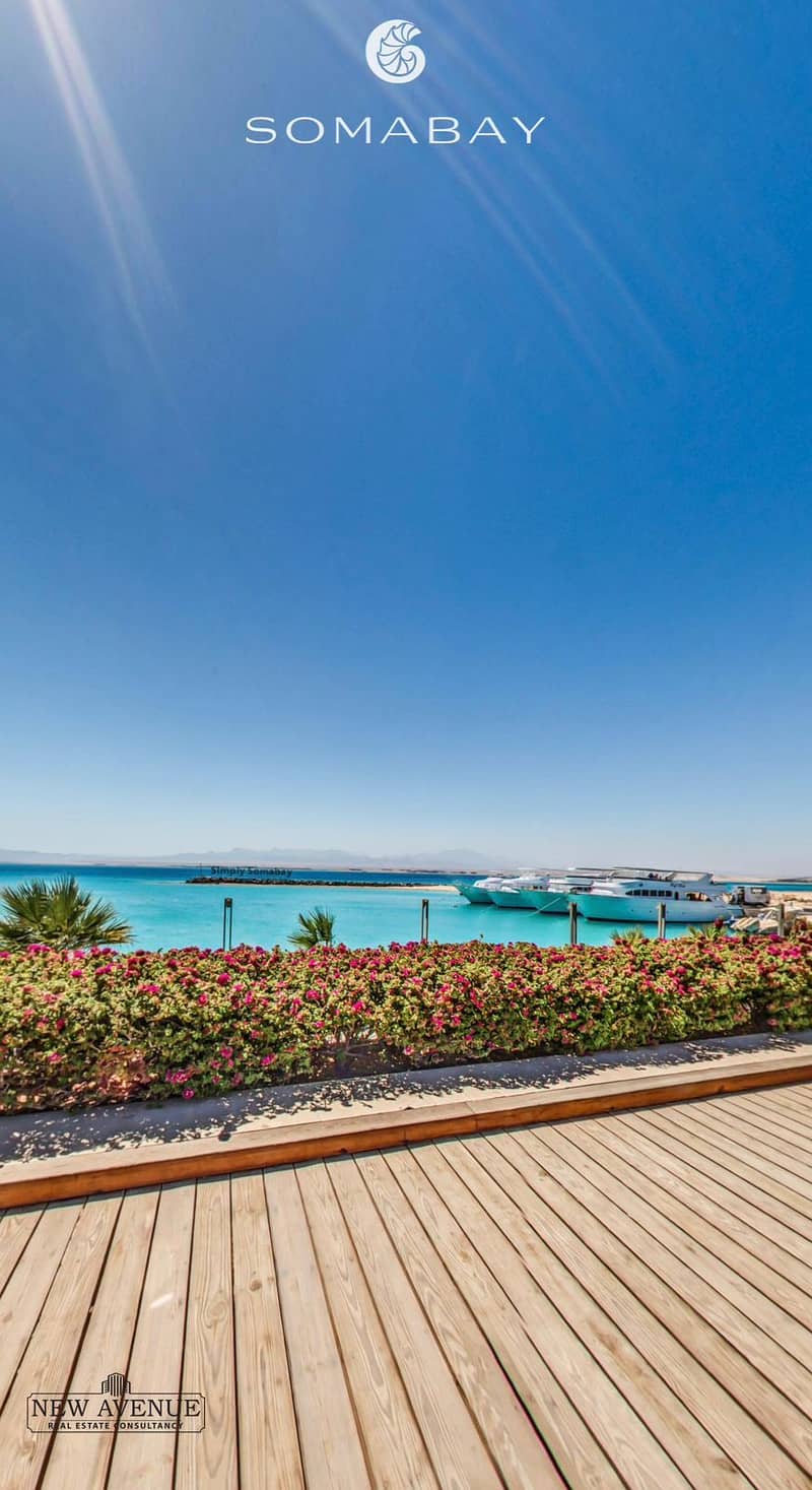 3 WhatsApp Image 2026-01-20 at 1.10. 35 PM (1). jpeg