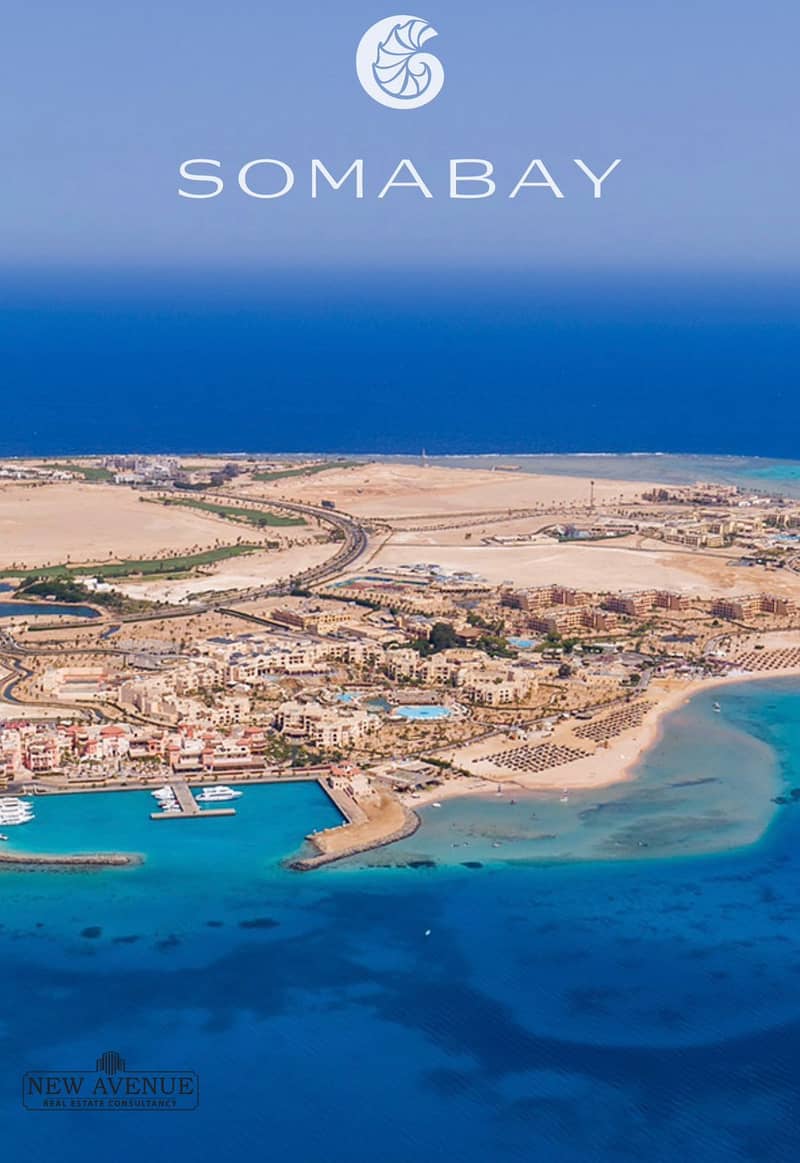 4 WhatsApp Image 2026-01-20 at 1.10. 35 PM (2). jpeg