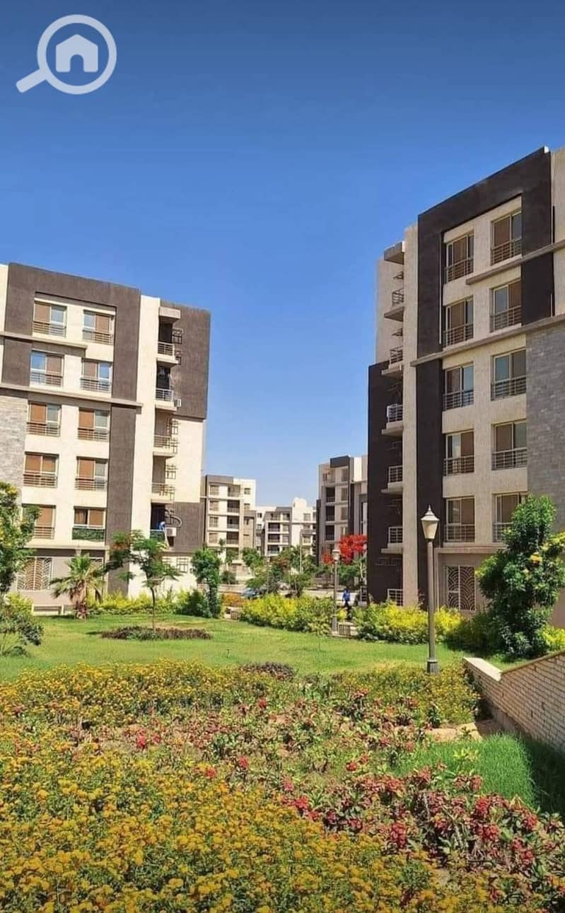 2 WhatsApp Image 2026-01-20 at 17.57. 09. jpeg