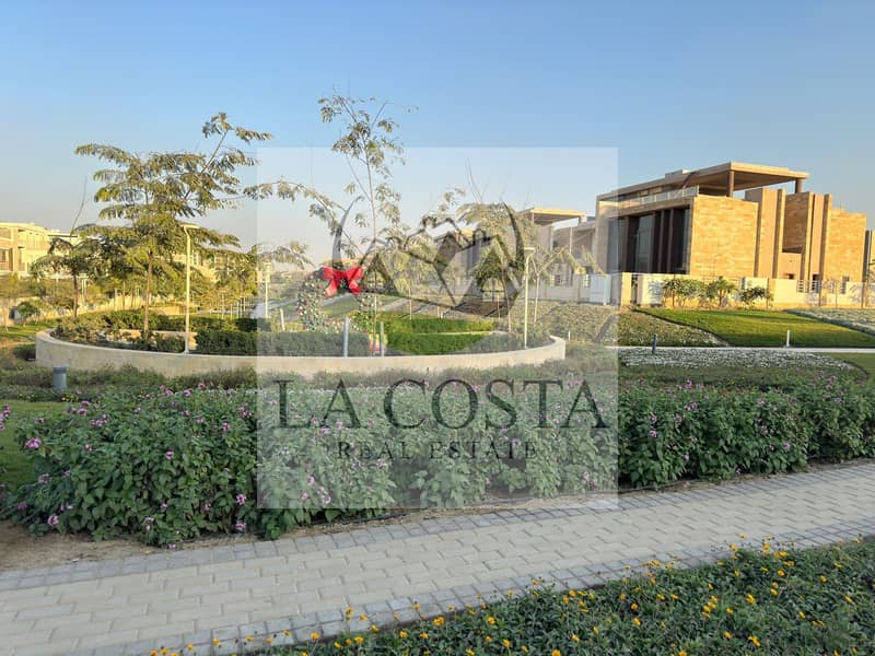 2 41dcffa0-029b-480f-838d-761658fb7aec. jpeg