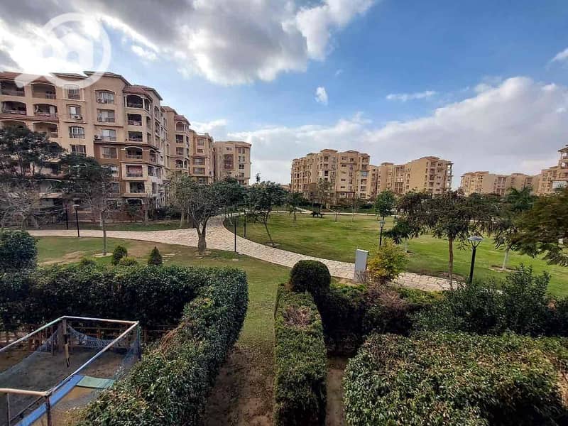 5 82d142cf-bb6c-48ea-a00a-2fa1a07e51eb. jpg