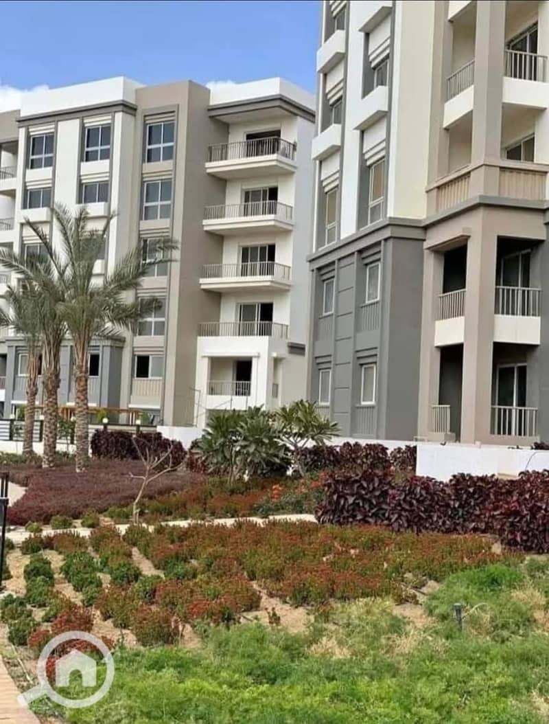 3 2f254439-52f6-4c62-8083-b16e09df19ad. jpg