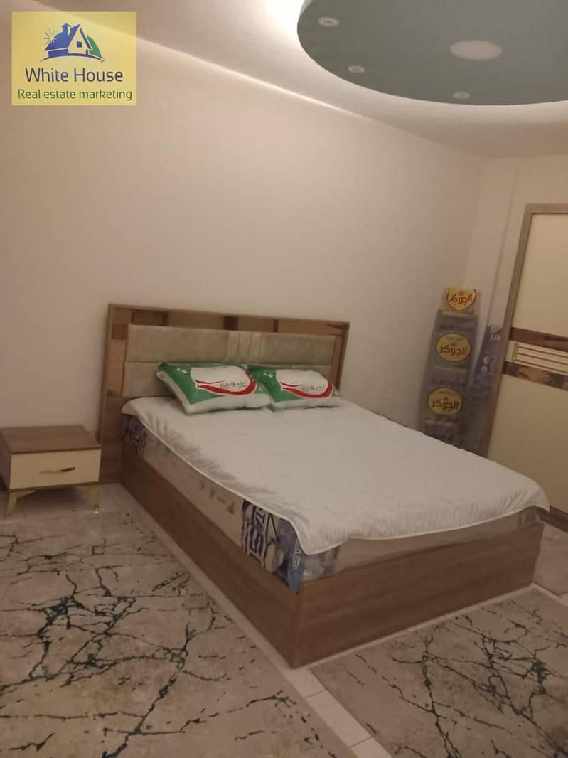 11 WhatsApp Image 2026-01-20 at 7.17. 35 AM. jpeg