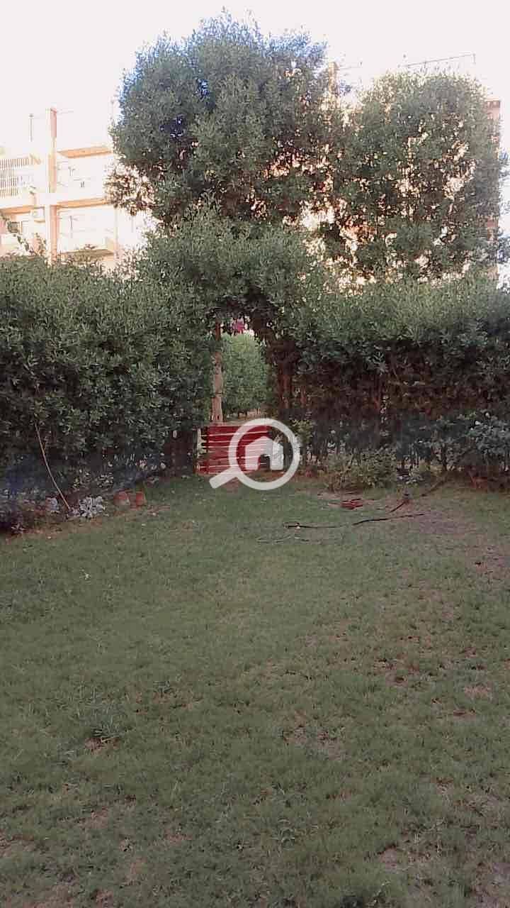 6 dc7ea28e-1e26-453e-a564-90f04275957d. jpg