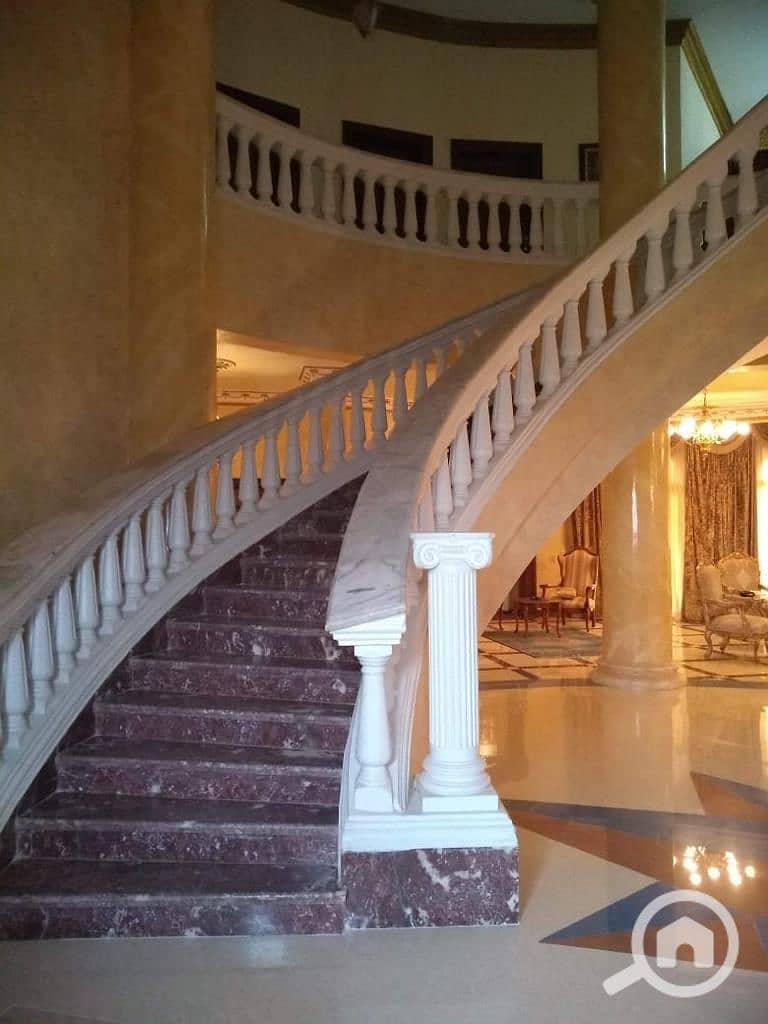 11 7192caac-eee3-4fb1-9f83-21315cb01a8a. jpg