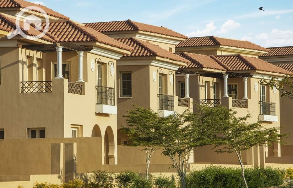 12 WhatsApp Image 2025-02-11 at 12.19. 58_2680adb8. jpg