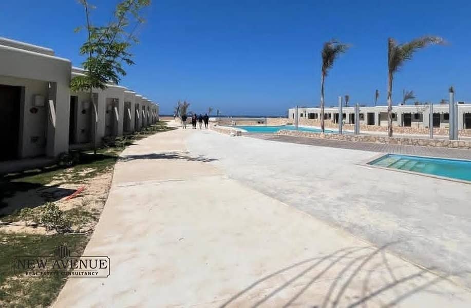 4 WhatsApp Image 2026-01-20 at 4.18. 56 PM (1). jpeg