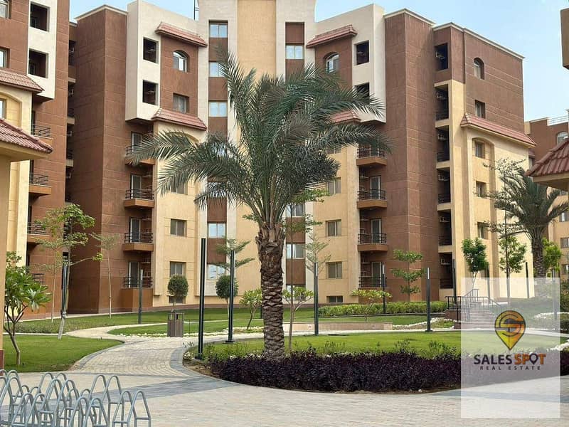 4 616187470_122308923950066435_1036818796346379923_n. jpg