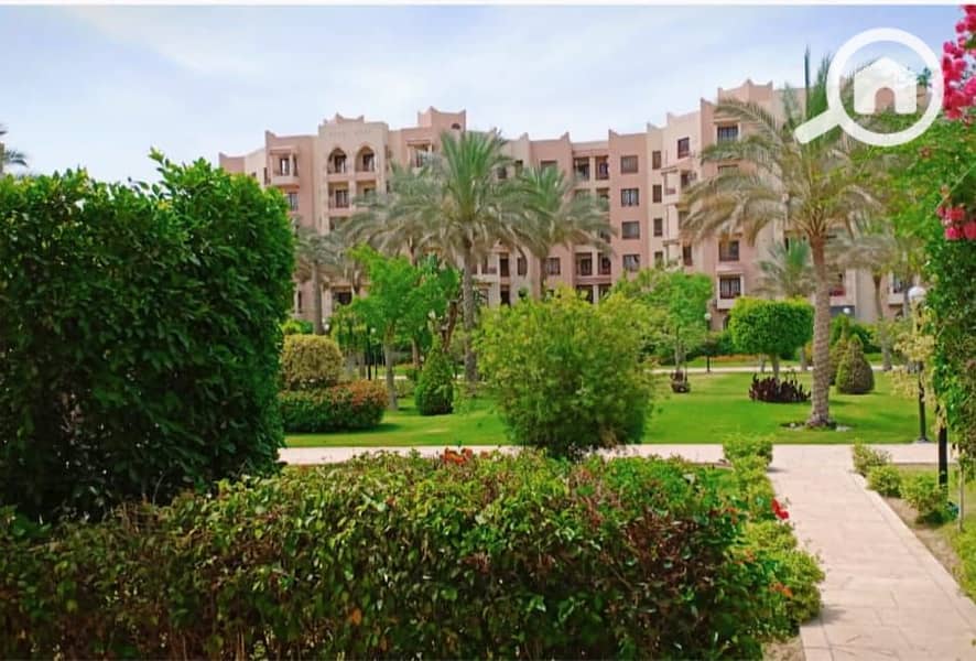 6 WhatsApp Image 2025-12-17 at 4.42. 36 PM. jpeg