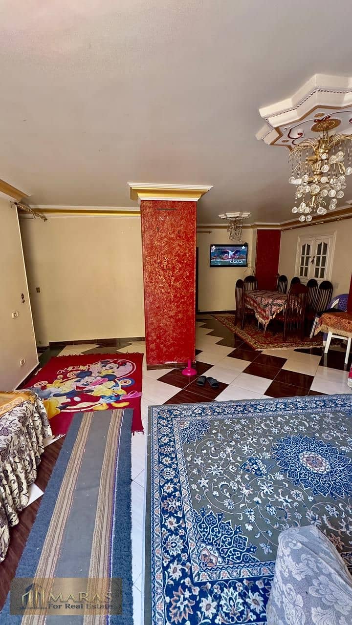 3 WhatsApp Image 2026-01-19 at 3.15. 10 PM. jpeg