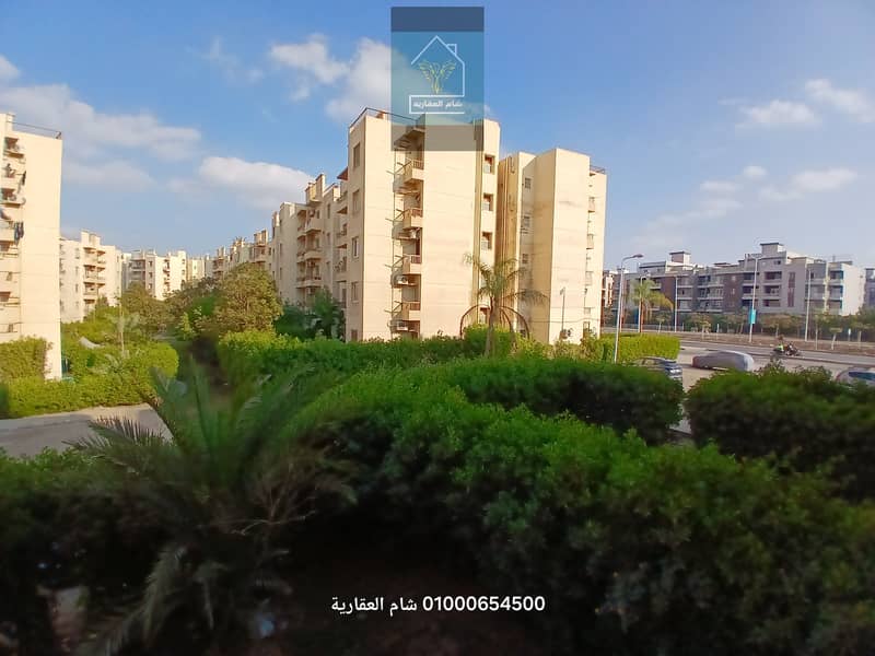 3 ٢٠٢٦٠١٠٢_١٤٣١١٠. jpg