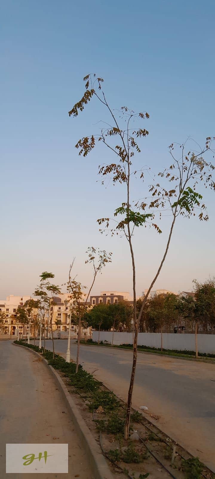 6 WhatsApp Image 2026-01-20 at 20.47. 58. jpeg