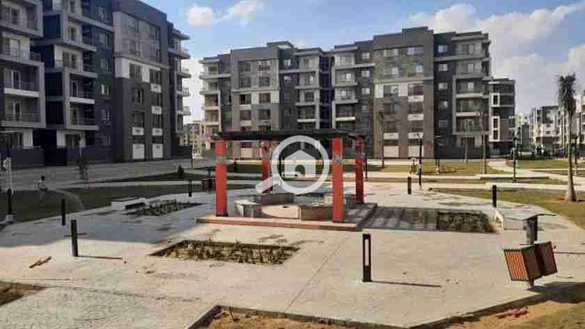 3 13431512031641729259. jpg