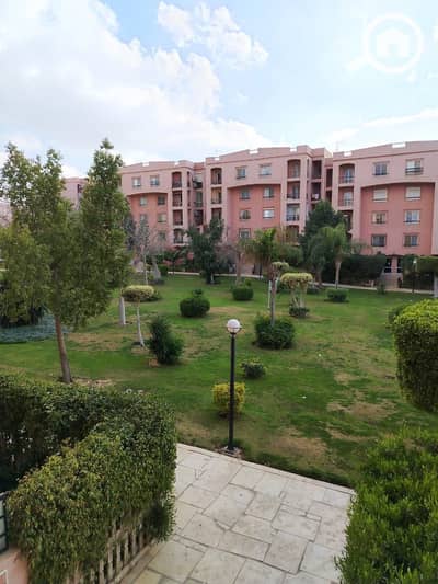 فلیٹ 3 غرف نوم للايجار في القاهرة الجديدة، القاهرة - WhatsApp Image 2026-01-17 at 2.21. 54 PM(3). jpeg