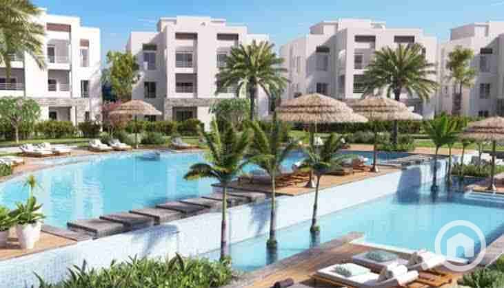 3 images - 2022-05-15T181744.079. jpeg