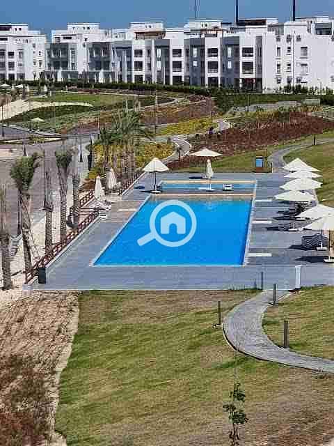 4 images - 2022-05-15T181807.442. jpeg