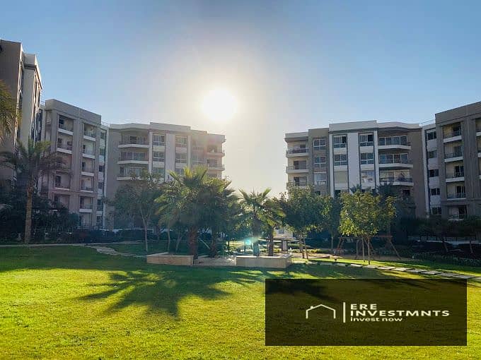 2 2025-01-08 (2). jpg