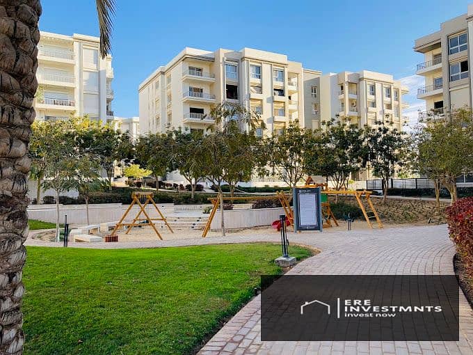 14 2025-01-08 (7). jpg