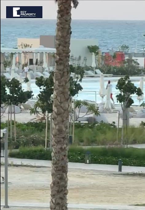 3 _files_Screenshot 2026-01-19 123349. png