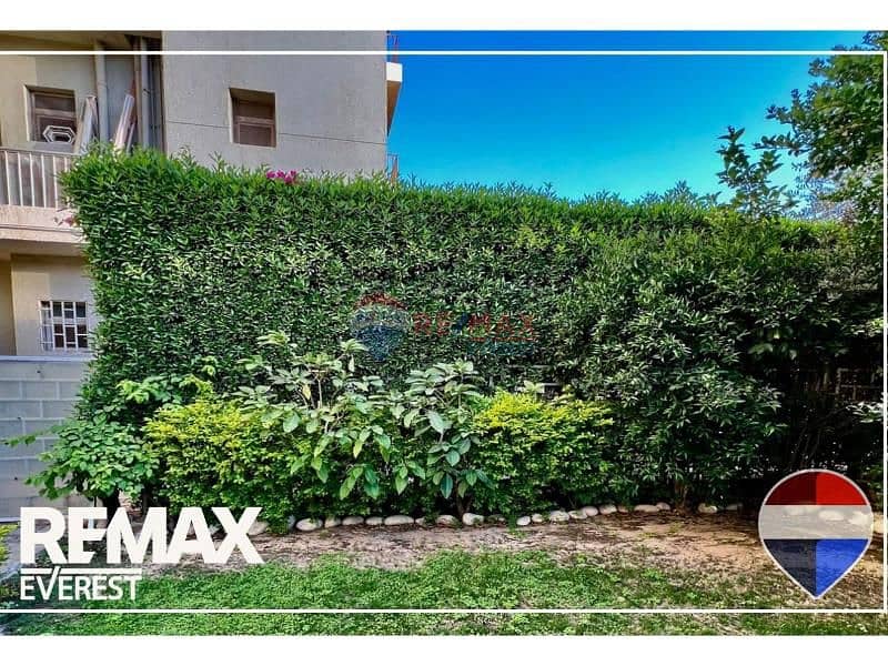 3 original - 2026-01-20T215159.048. jpg