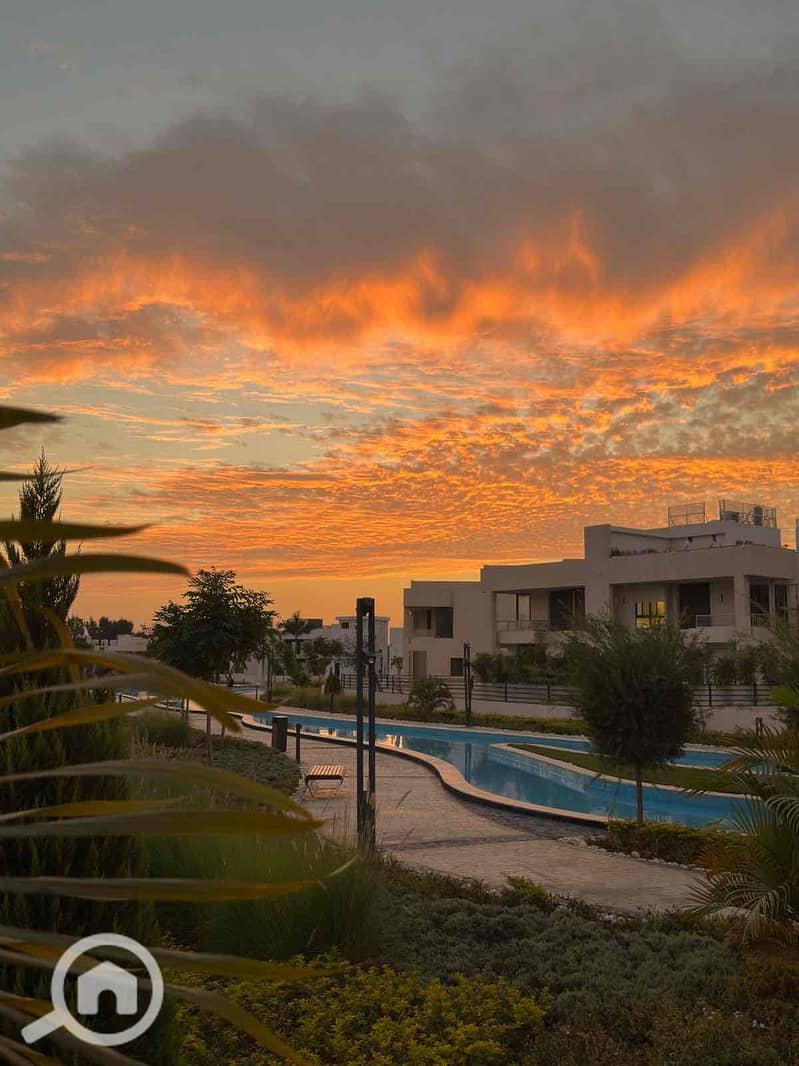 14 d335e005-858b-4091-b53d-00fa74c21edf. jpg