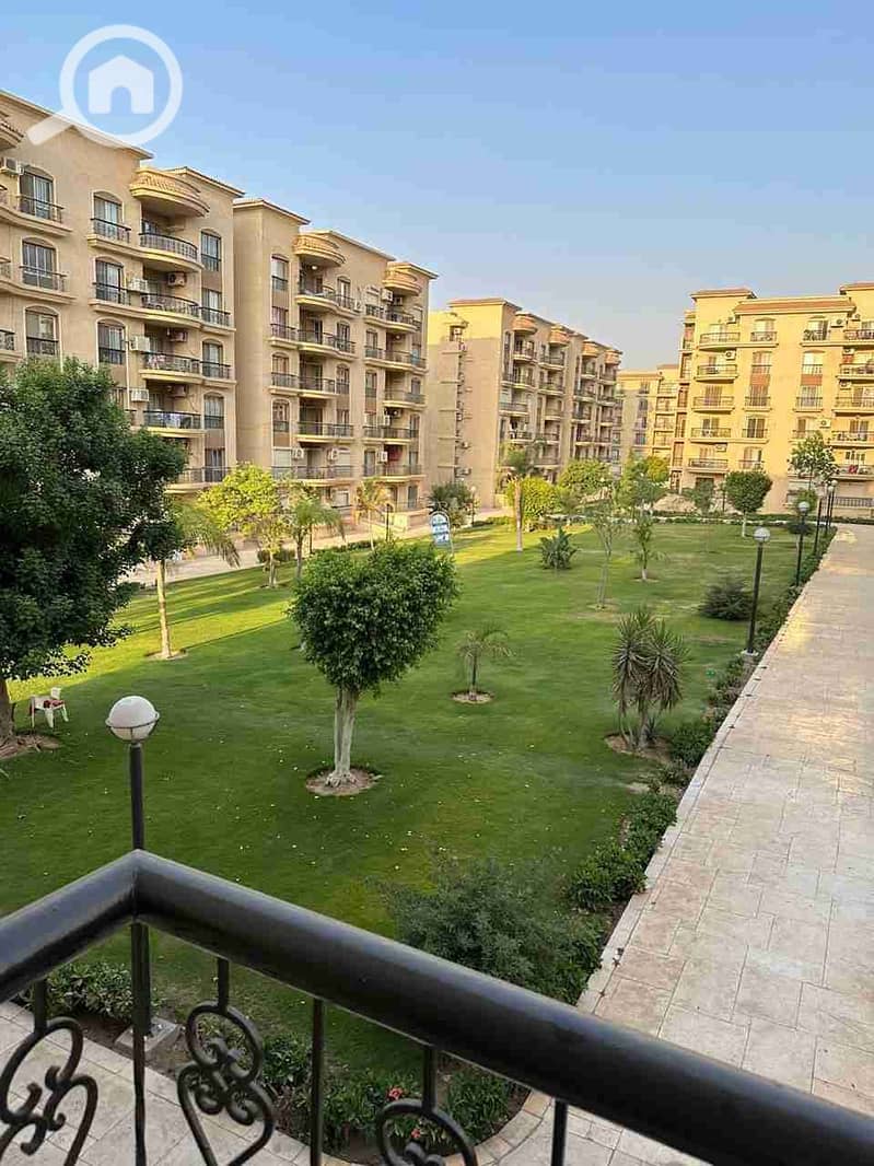 1000578355. jpg 1000578355. jpg