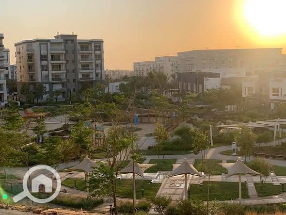 5 559377127_4128655447421920_8641680854875233523_n. jpg