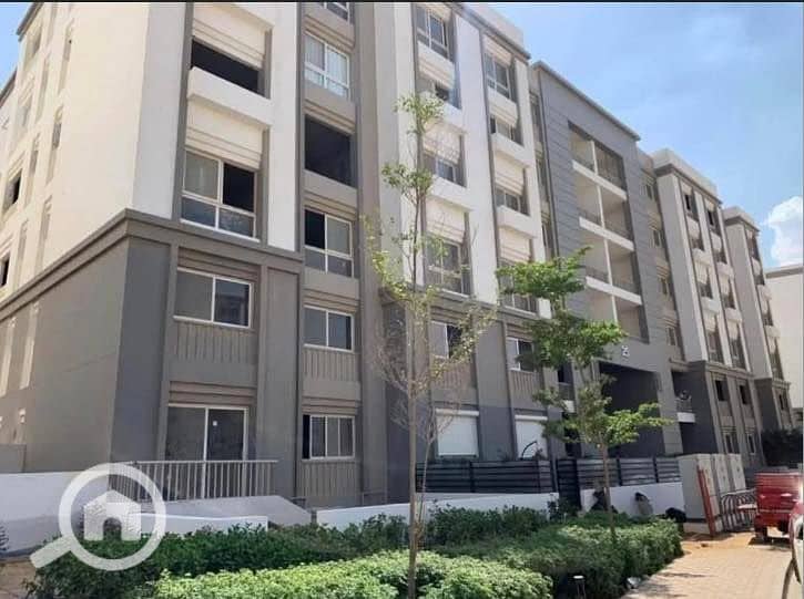 10 553219232_122132895932937438_414383642065920404_n. jpg