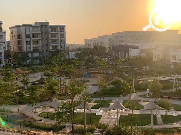 3 559377127_4128655447421920_8641680854875233523_n. jpg