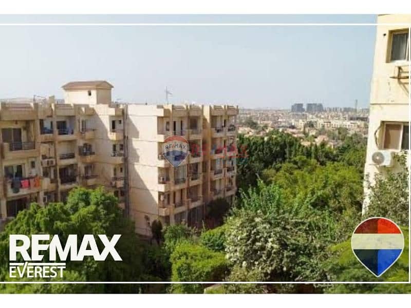 6 original - 2026-01-20T225134.306. jpg