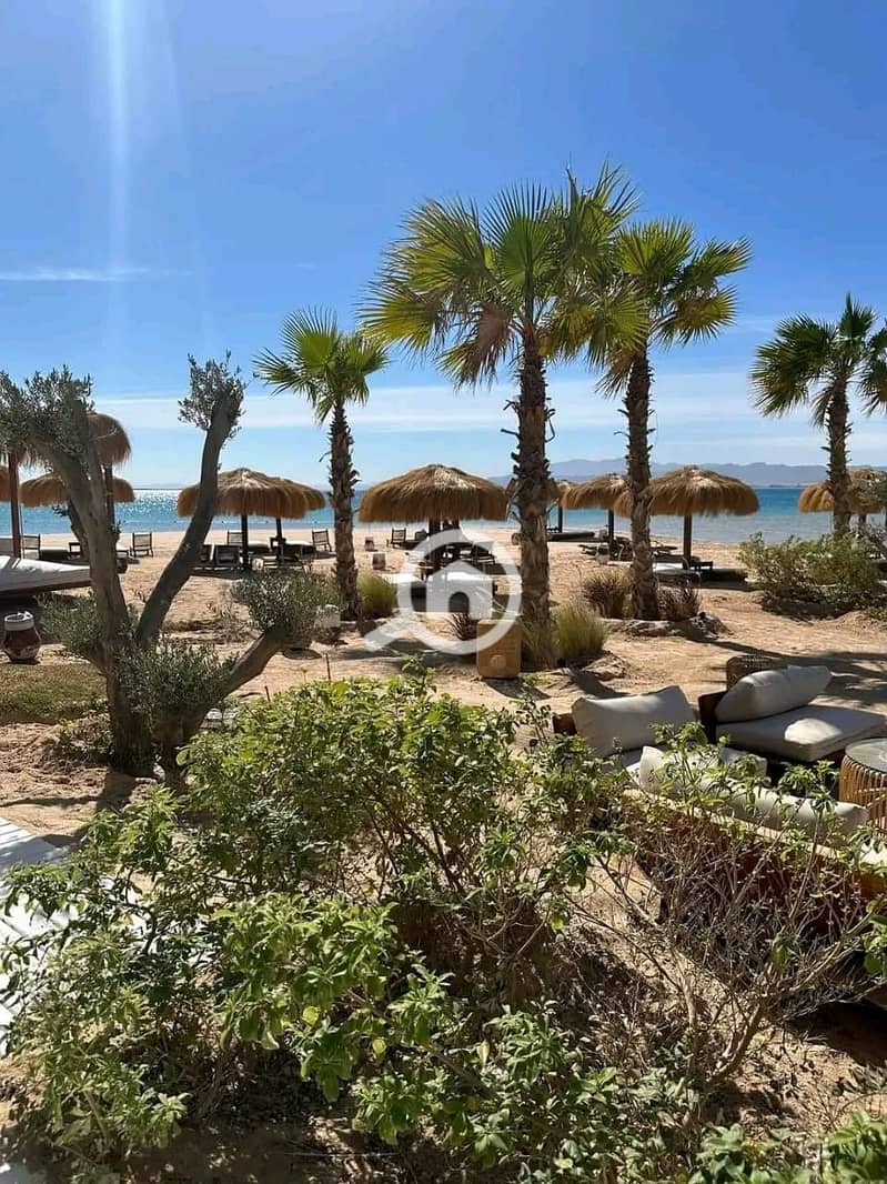 3 535034976_122224555352252188_7197372596206137619_n. jpg