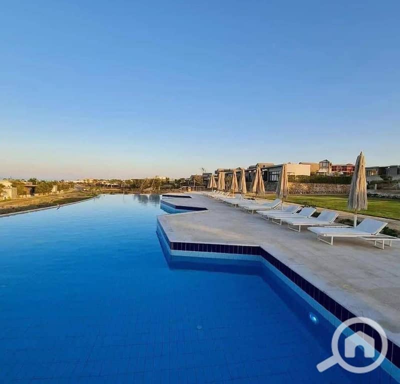 7 585878882_2223913058132439_7159180896178356702_n. jpg