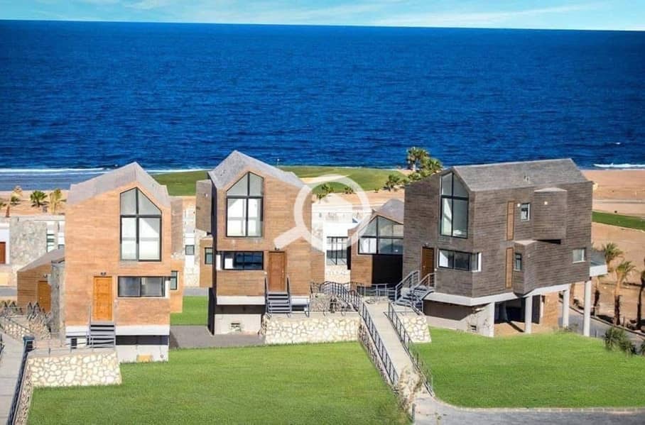 8 586060903_857574450143020_1779146180436991343_n. jpg