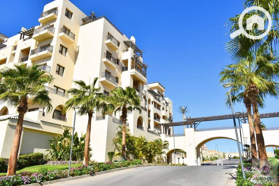 9 589839286_2238880283291166_4182990940507616197_n. jpg