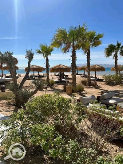 3 Bedroom Chalet for Sale in Soma Bay, Red Sea - 535034976_122224555352252188_7197372596206137619_n. jpg