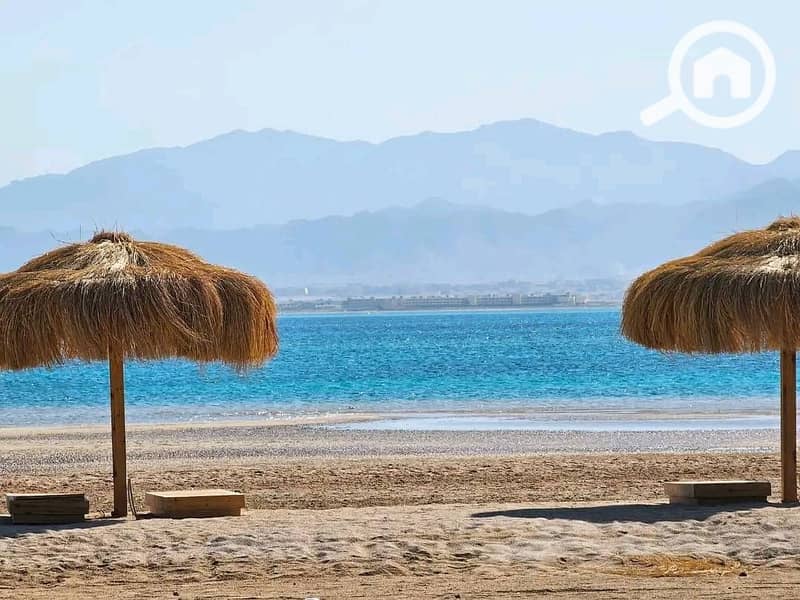 3 536435092_122224555388252188_3195643171057206219_n. jpg