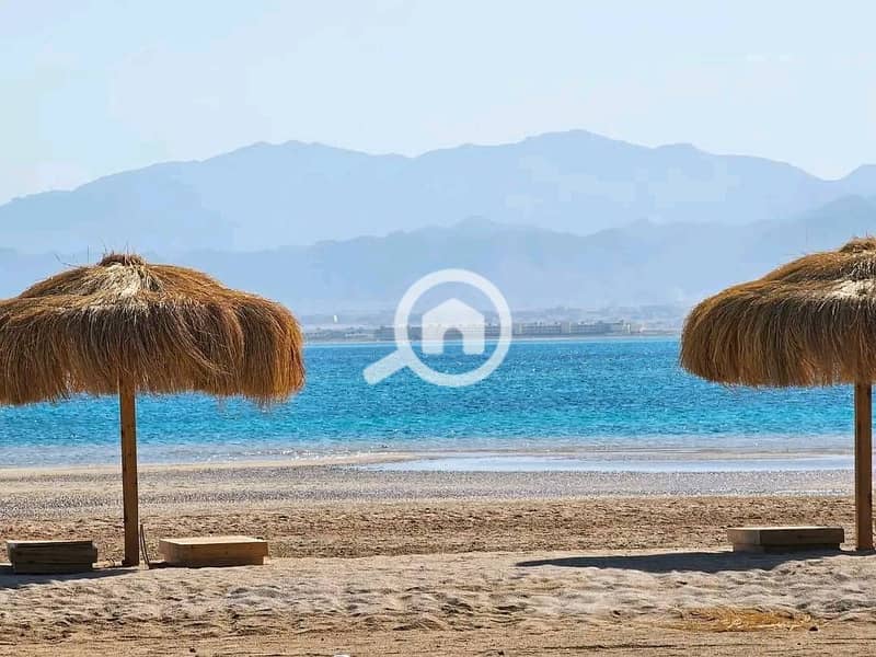 2 536435092_122224555388252188_3195643171057206219_n. jpg