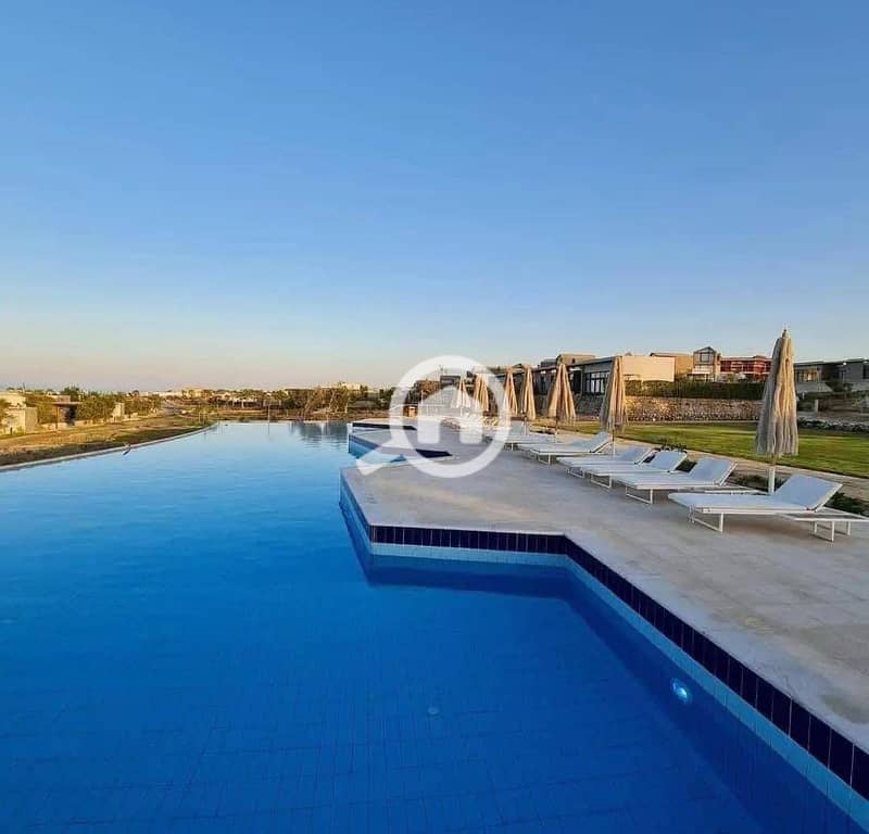 7 585878882_2223913058132439_7159180896178356702_n. jpg